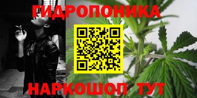 PSILOCYBIN Пугачёв