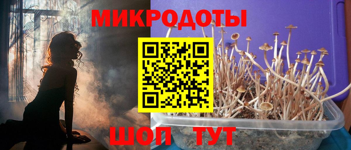 Псилоцибиновые грибы MAGIC MUSHROOMS  Галлюциногенные грибы мицелий  Сочи  Вход с VPN 